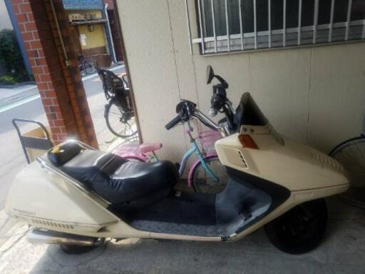 ホンダ　フュージョンx　ベージュ