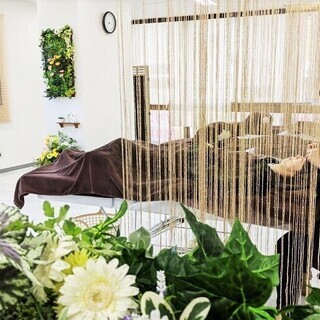 春日部駅5分 年春newopenのマツエク専門店 8月も格安のセミアイリストクーポン継続中 Iflash 春日部 のその他の無料広告 無料掲載の掲示板 ジモティー