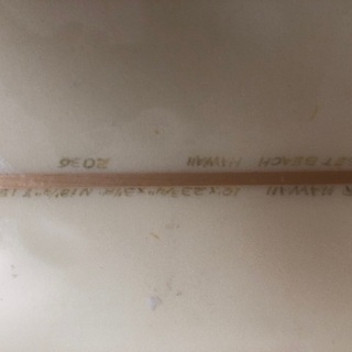 bearロングサーフボード