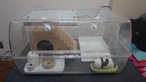 ハリネズミ飼育21点セット(総額4万近くしました)