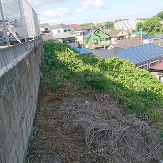 家庭菜園のために買った横浜の土地を活用してください