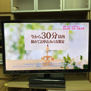 Panasonic ビエラとDIGAセット - テレビ