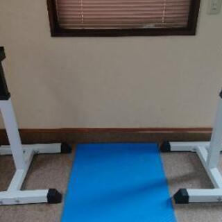 アイロテックのバーベルスタンド、カネヤのセーフティースタンド アイロテックのバーベルスタンド、カネヤのセーフティースタンド