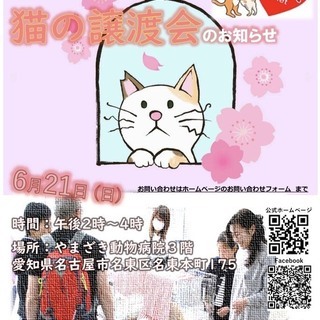 猫の譲渡会　6月21日　名古屋市名東区の画像
