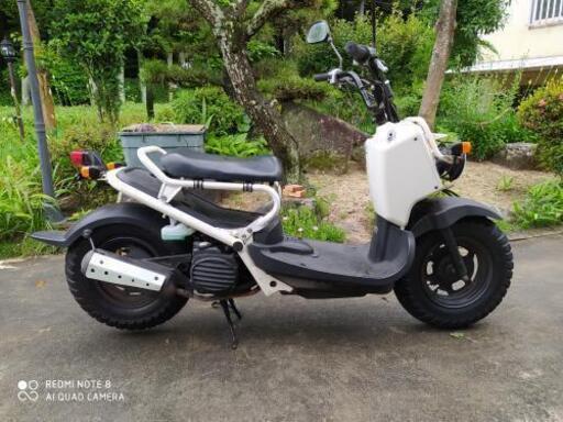 ホンダ　ズーマー 　お話し中