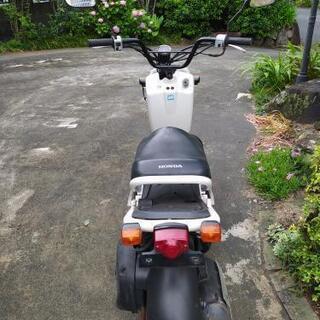 ホンダ　ズーマー 　お話し中 ホンダ ズーマー お話し中