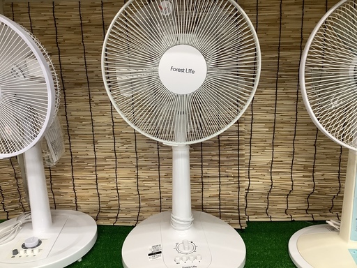 驚きの安さ Life Forest Lifeの扇風機 - _
