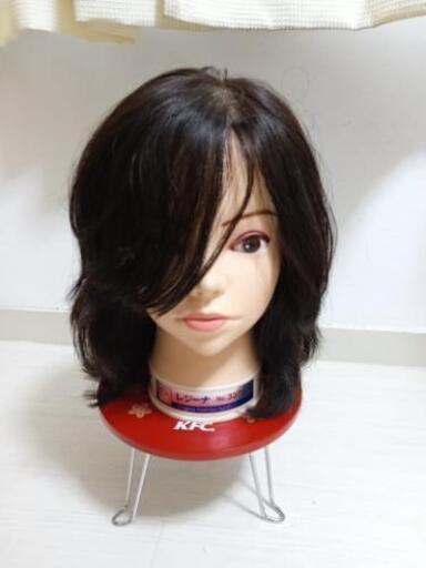 レジーナ　No.337A　2体