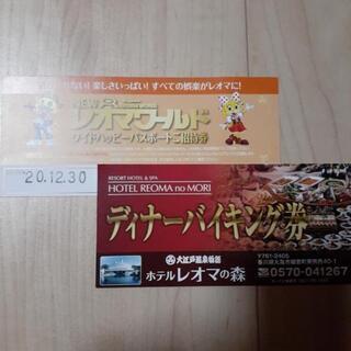 【取引予定】レオマリゾート チケット 3枚セット！ディナー付  ...