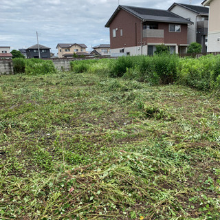 雑草の草刈り致します　坪100円より - 下野市