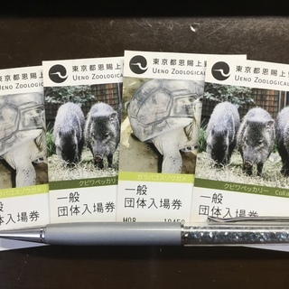 中古動物 チケットが無料 格安で買える 5ページ目 ジモティー 中古動物 チケットが無料 格安で買える 5ページ目 ジモティー