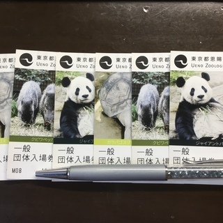 東京都 上野動物園 ♡６月 23日再開決定！♡ 入場券６枚セット...
