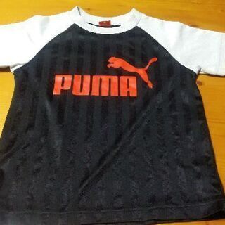 PUMA　プーマ130サイズ　シャツ