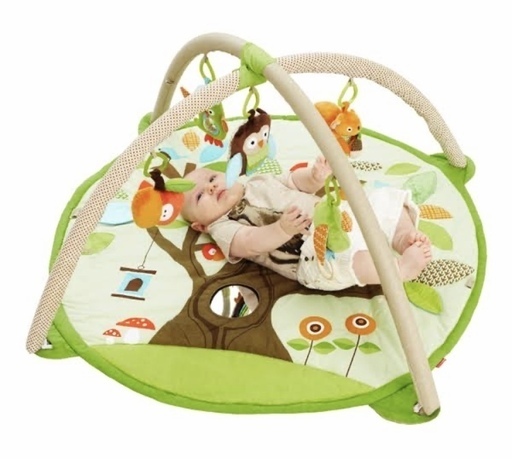 baby play mat skip hop