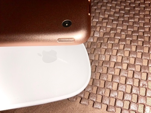 iPad9.7インチ(第6世代)32GB Wi-Fiモデル ゴールド | camarajeriquara ...