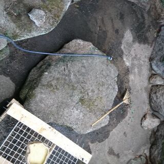 庭石の移動 又は分割 サイ 厳木の手伝って 助けての助け合い ジモティー 庭石の移動 又は分割 サイ 厳木の手伝って 助けての助け合い ジモティー