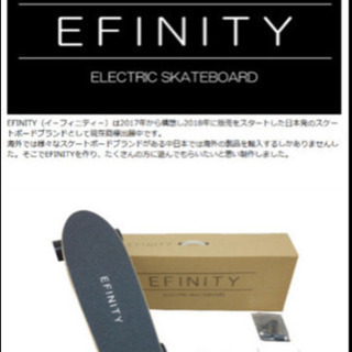 【注意！ジャンク品】EFINITY TYPE250S 電動スケー...