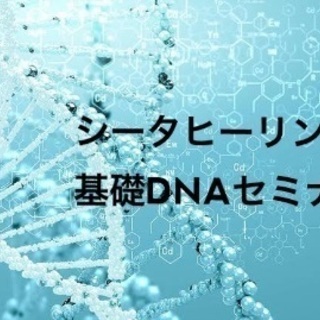 ★特例　4日間でシータヒーリング基礎DNAセミナー