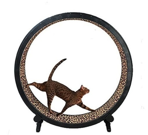 [定価5万円]猫ちゃん用エクササイズ One Fast Cat キャットエクササイズホイール レオパード