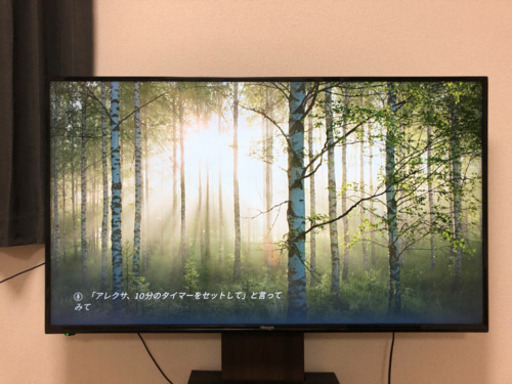 49v ハイビジョン液晶テレビ + 壁寄せテレビスタンド