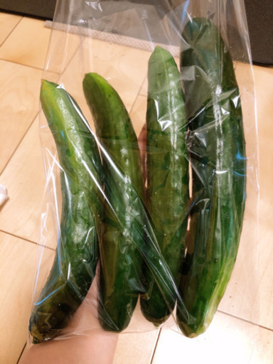 朝採り 新鮮野菜 スナップえんどう 水菜 きゅうり はせがわ 相模原の食品の中古あげます 譲ります ジモティーで不用品の処分 朝採り 新鮮野菜 スナップえんどう 水菜 きゅうり はせがわ 相模原の食品の中古あげます 譲ります ジモティーで不用品の処分
