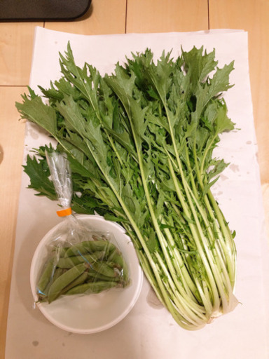 朝採り 新鮮野菜 スナップえんどう 水菜 きゅうり はせがわ 相模原の食品の中古あげます 譲ります ジモティーで不用品の処分 朝採り 新鮮野菜 スナップえんどう 水菜 きゅうり はせがわ 相模原の食品の中古あげます 譲ります ジモティーで不用品の処分