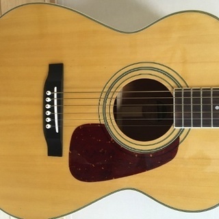 MORRIS/アコースティックギター/MF-251N