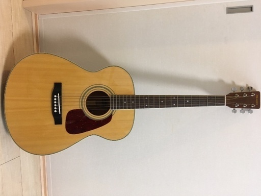 MORRIS/アコースティックギター/MF-251N