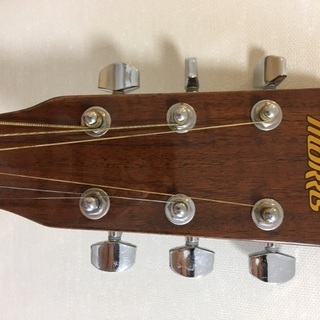 モーリス Morris MF-251N アコースティックギター MORRIS/アコースティックギター/MF-251N