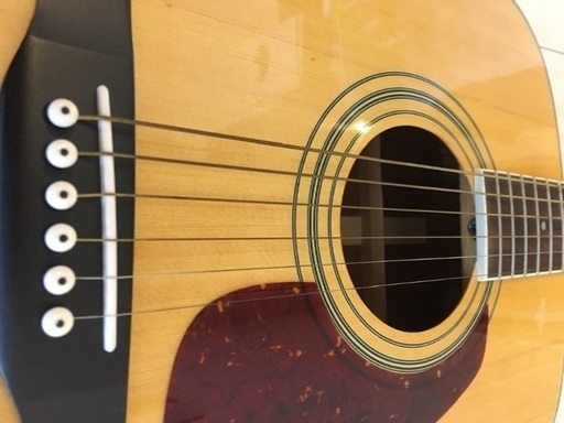 MD-251 | 生産完了品 | MORRIS GUITARS モーリスギター morris MD-251N