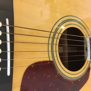 MORRIS/アコースティックギター/MF-251N