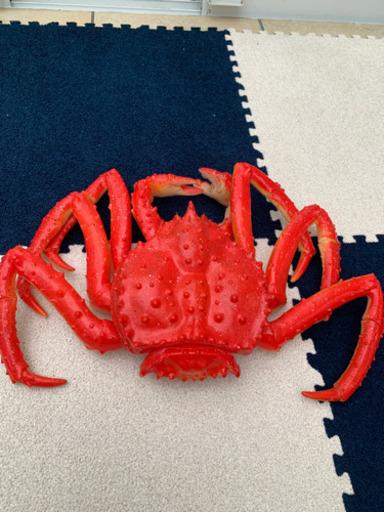 大きな蟹のソフビ 笑 真ヒーロー 滝不動のおもちゃ ままごと の中古あげます 譲ります ジモティーで不用品の処分 大きな蟹のソフビ 笑 真ヒーロー 滝不動のおもちゃ ままごと の中古あげます 譲ります ジモティーで不用品の処分
