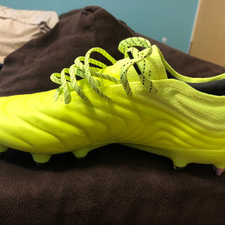 コパ19.1 SG トップモデル　26.5