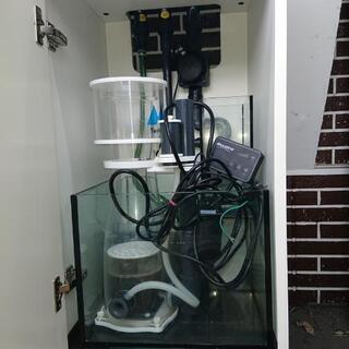 海水用オーバーフロー水槽 RedSea Reefer Nano レッドシー リーファー