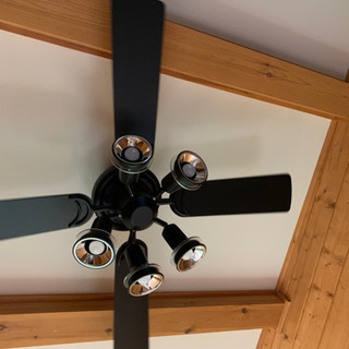 ODELIC】オーデリック シーリングファン CWJ9014LDR LED ODELIC