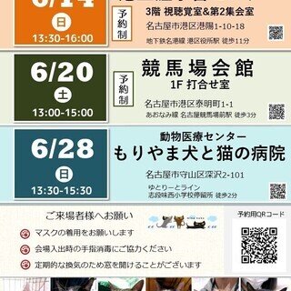 6月28日(日) 猫の譲渡会 名古屋市守山区 動物医療センターも...