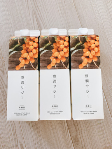 フィネス 豊潤サジー 1000ml 3本
