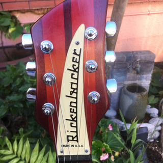 Rickenbacker/希少ギター