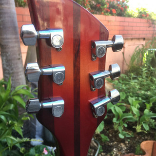 Rickenbacker/希少ギター