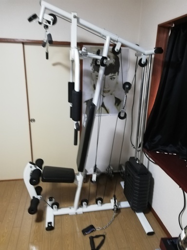 ファイティングロード ホームジムEX55