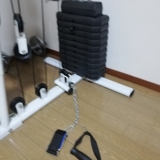 ファイティングロード ホームジムEX55 人気 