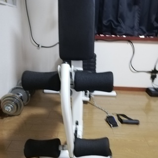 ファイティングロード ホームジムEX55 人気 