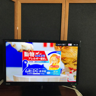⭐️TOSHIBA 2015年製液晶テレビ　23S8⭐️