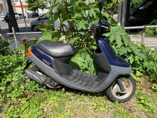 交渉中　中古原付です