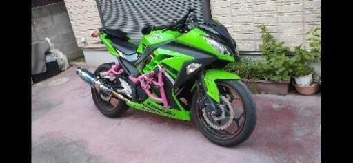 （交渉中）Ninja250　14スペシャルエディション　ABS カスタム
