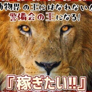 週4日~レギュラー勤務大歓迎！力仕事なし！人物重視の採用です◎週払いOK シンテイ警備株式会社 熊谷支社 深谷1エリア/A3203200121 車両誘導スタッフの画像