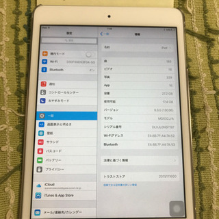 iPad mini 32GB wifi 