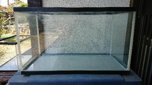 GEX 60㌢水槽