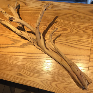 値下げ 流木 3点セット ディスプレイ フラワーアレンジメント向き