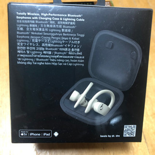 未使用！Beats Apple Powerbeats Pro パワービーツプロ 完全